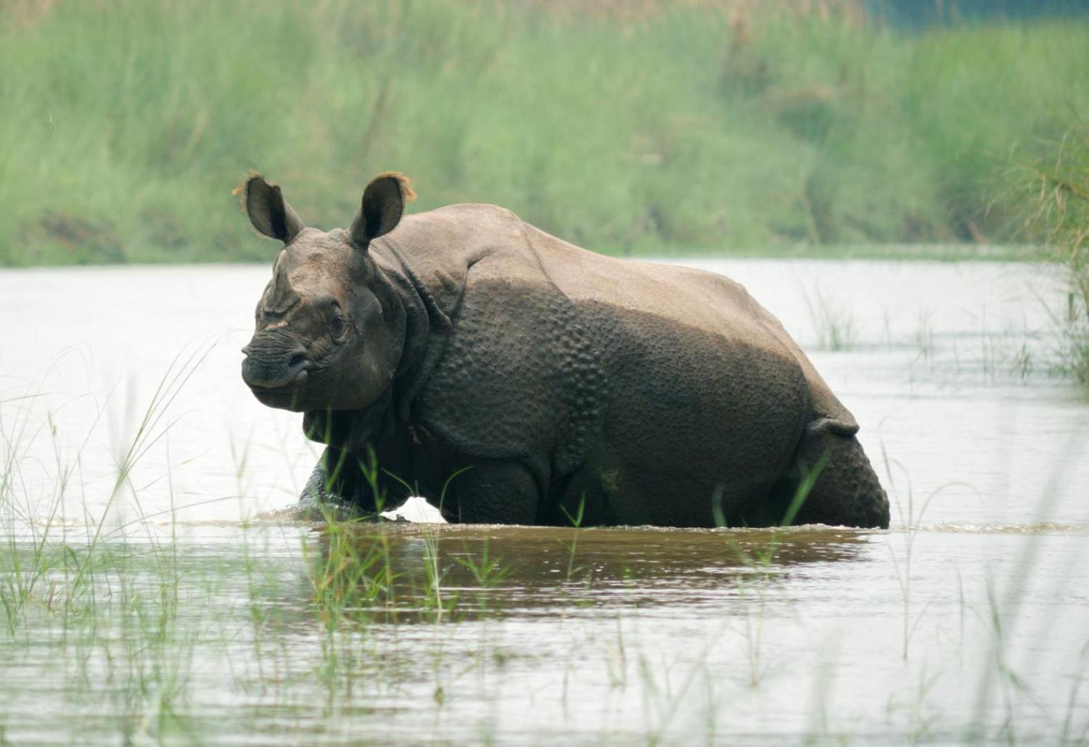 Family House - Bardia National Park Hotel Bardiya Ngoại thất bức ảnh